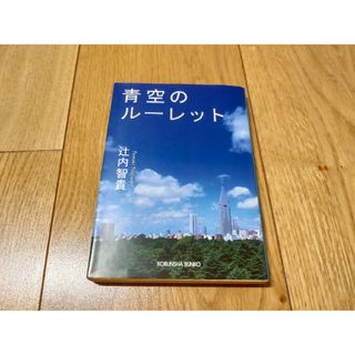 小説 青空のルーレット 辻内智貴(文学/小説)