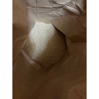 2022年産コシヒカリ玄米10キロ(米/穀物)
