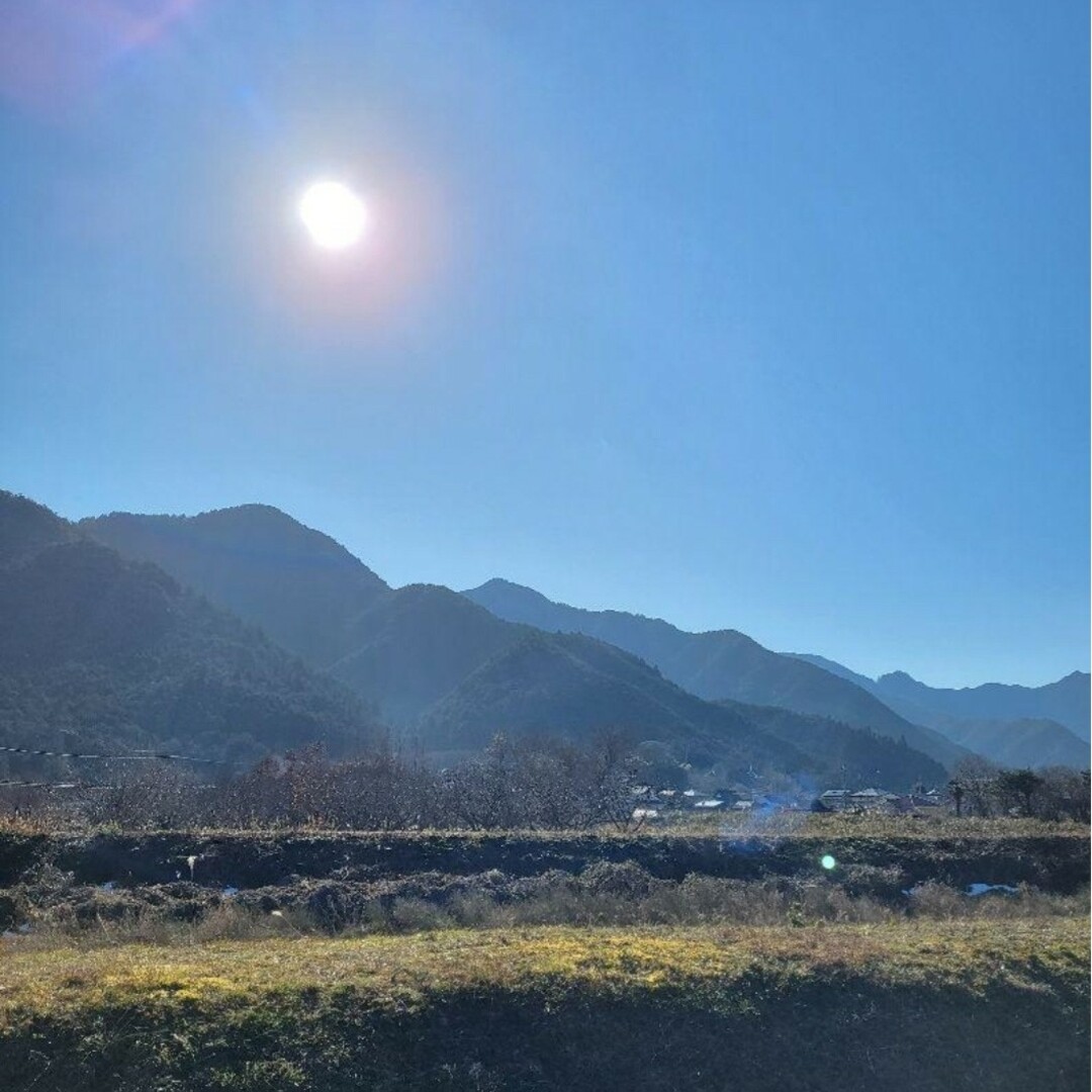 令和5年 兵庫県丹波産 農薬、除草剤不使用 新米コシヒカリ20キロ 4