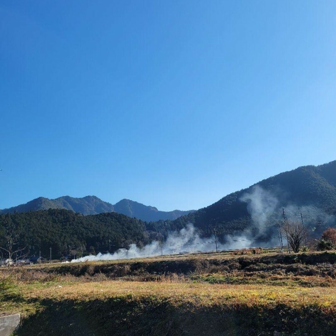 令和5年 兵庫県丹波産 農薬、除草剤不使用 新米コシヒカリ20キロ 5
