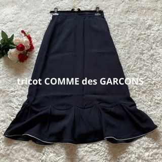 トリココムデギャルソン(tricot COMME des GARCONS)の【希少】トリココムデギャルソン　スカート　フレア　チャックジッパー　黒ネイビーM(ひざ丈スカート)