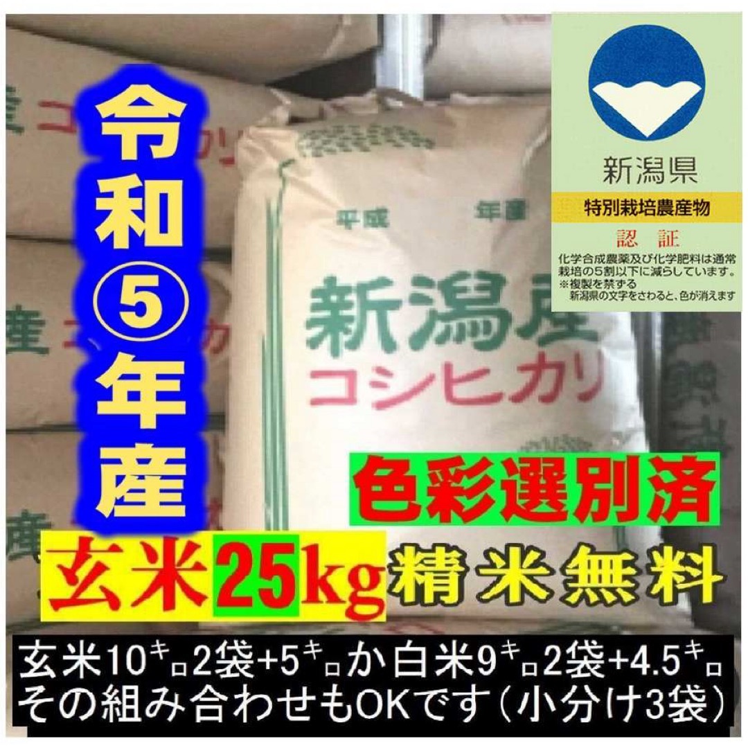 米/穀物　新米・令和5年産　玄米新潟コシヒカリ30kg（10k×3）精米無料☆農家直送06