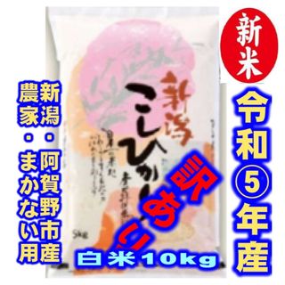 新米・令和5年産新潟コシヒカリ★色彩選別済白米10㌔×１袋★農家まかない用15(米/穀物)