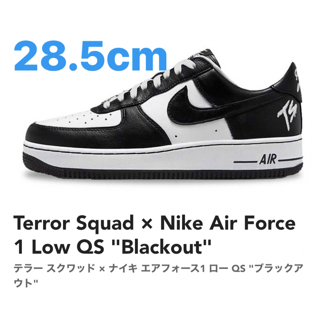 Terror Squad × Nike Air Force 1 Low QS