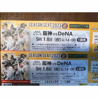 プロ野球ペアチケット　阪神vsDeNA