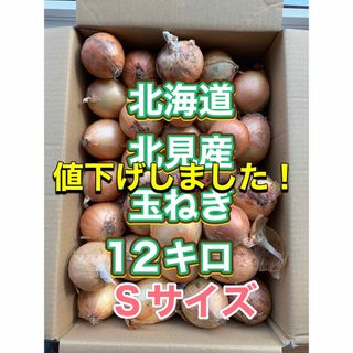 北海道産玉ねぎ　１２キロ　Sサイズ(野菜)