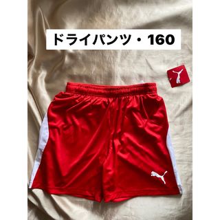 プーマ(PUMA)の新品　ゲームパンツ(パンツ/スパッツ)