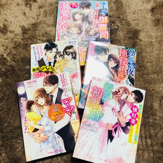 5冊セット　懐妊一夜で極秘出産したのに、シークレットベビーごと娶られました(文学/小説)