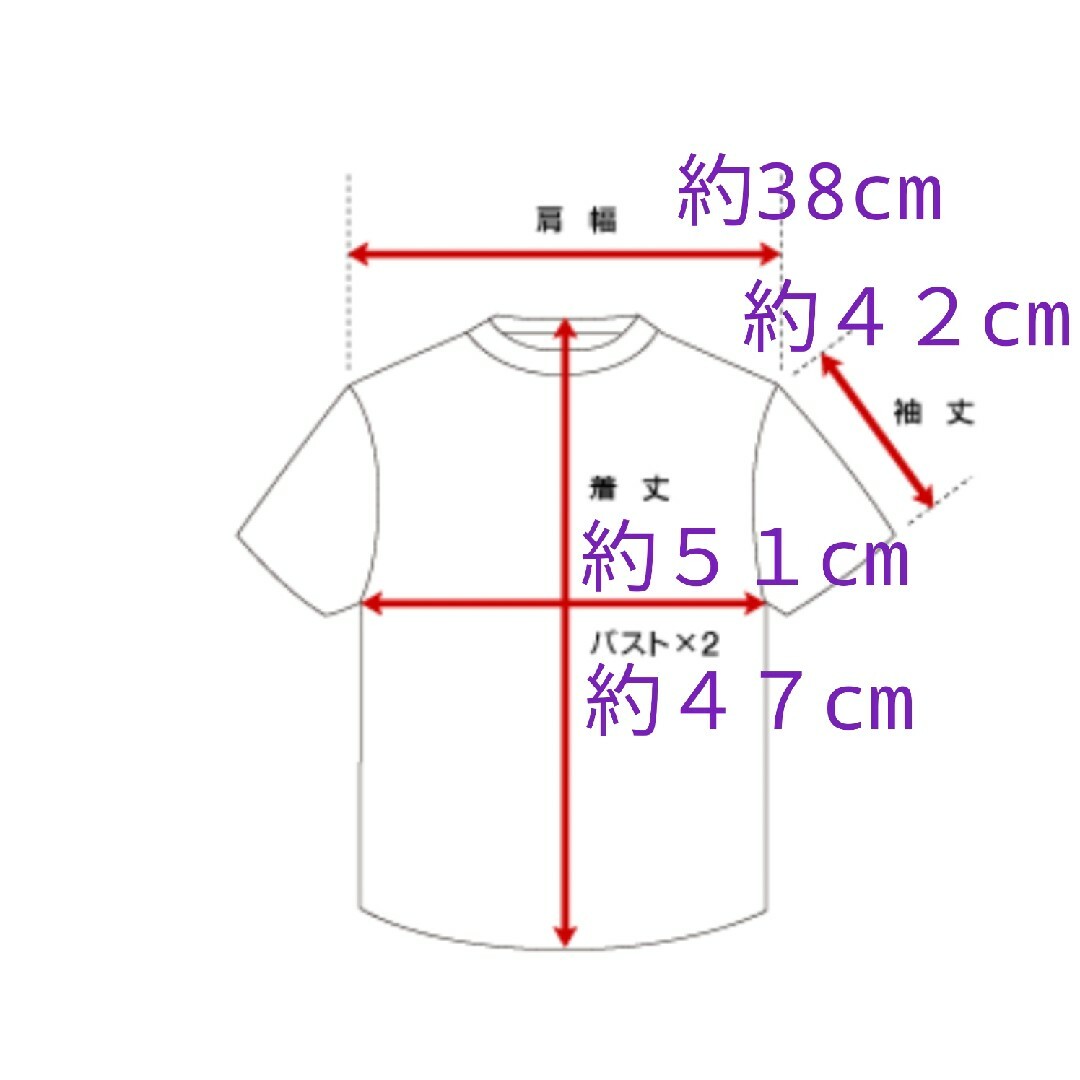 トゥーシー　TWO:C　XL　42　七分袖 レディースのトップス(Tシャツ(長袖/七分))の商品写真