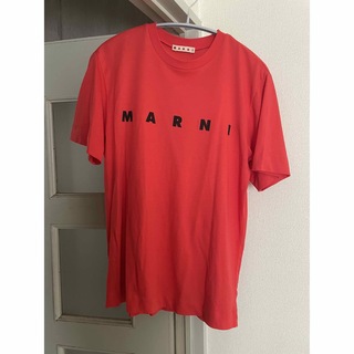 マルニ Tシャツ(レディース/半袖)の通販 400点以上 | Marniの ...