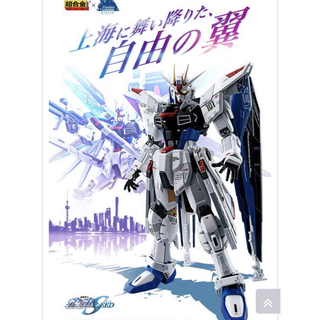 ガンダムコレクション(Gundam Collection（BANDAI）)の超合金　ZGMF-X10A フリーダムガンダム　Ver.GCP ロボット魂(アニメ/ゲーム)