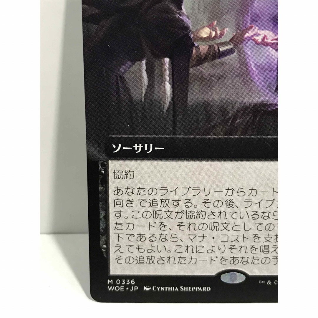 マジック：ザ・ギャザリング(マジックザギャザリング)のmtgエルドレインの森版拡張アート「鏡に願いを」 エンタメ/ホビーのトレーディングカード(シングルカード)の商品写真