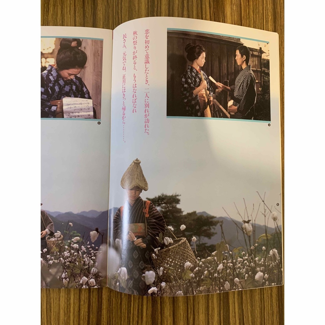 松田聖子　野菊の墓　映画パンフレット エンタメ/ホビーのDVD/ブルーレイ(日本映画)の商品写真