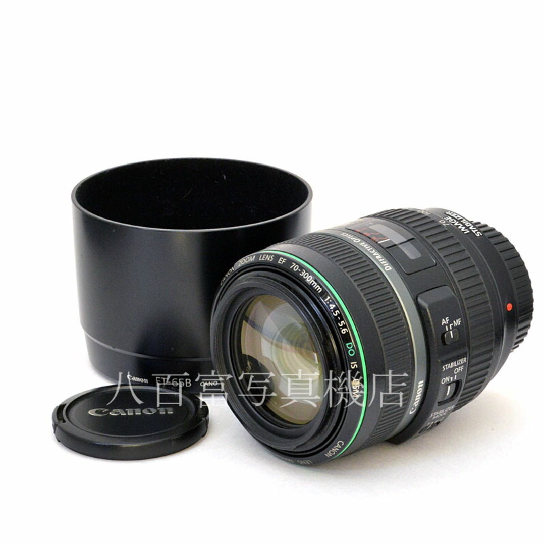キヤノン EF 70-300mm F4.5-5.6 DO IS USM Canon 交換レンズ 30074