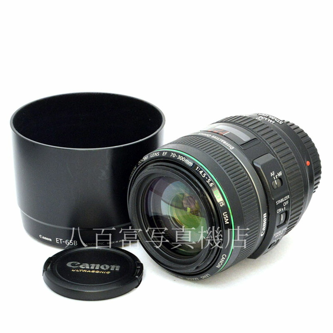 キヤノン EF 70-300mm F4.5-5.6 DO IS USM Canon 交換レンズ 50523