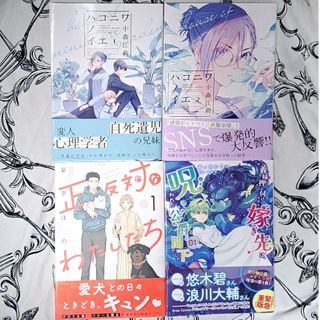 漫画本 まとめ売り 女性向け(女性漫画)