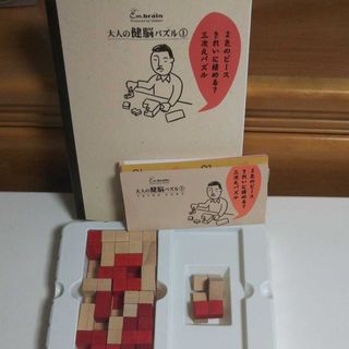 大人の健脳パズル   テトラキューブ(その他)