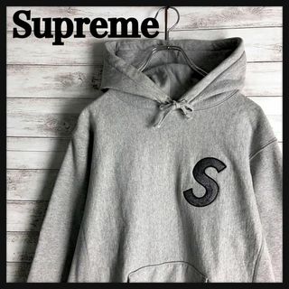 シュプリーム  20AW  Spray Hooded Sweatshirt クラシックロゴ刺繍アシッドプルオーバーパーカー メンズ S