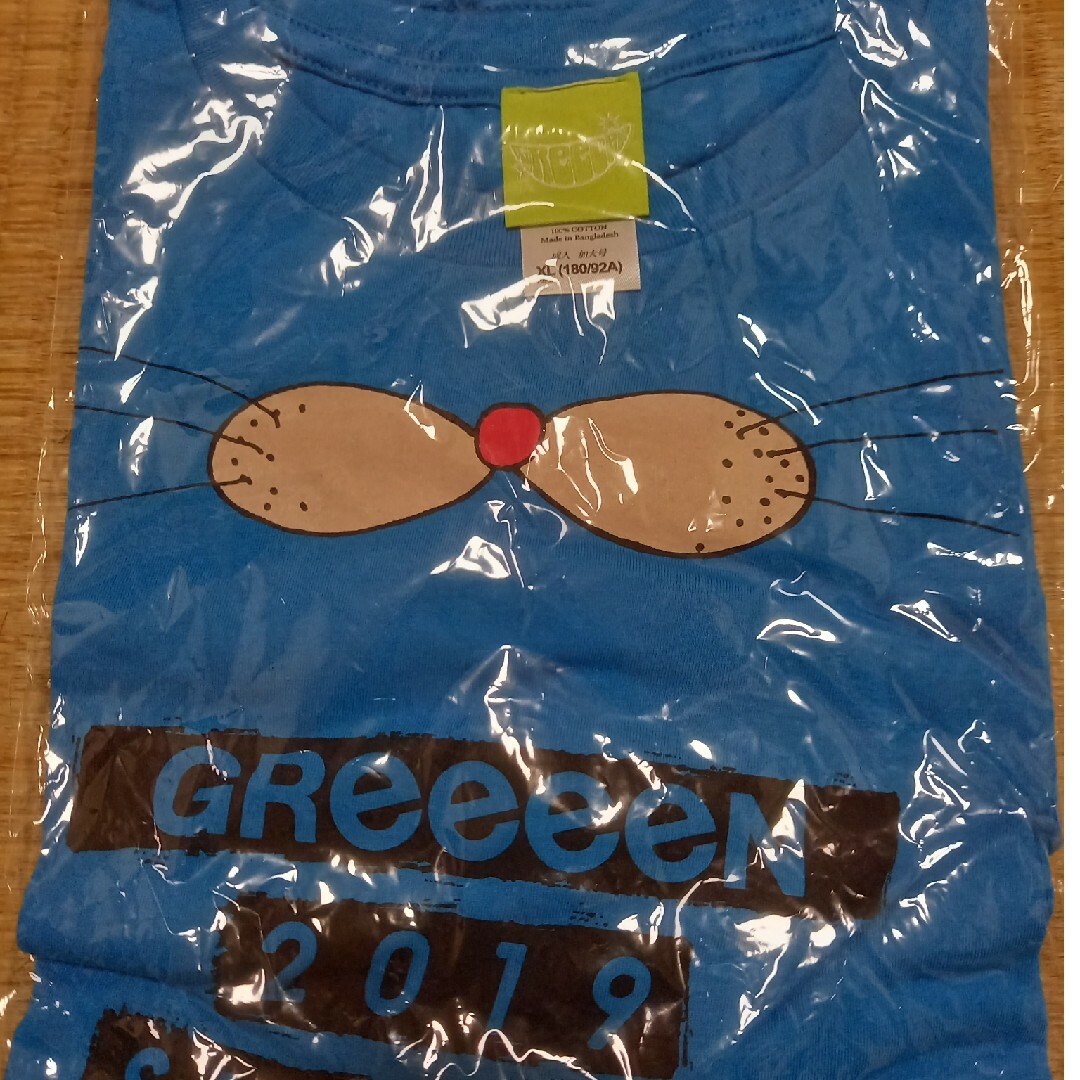 GReeeeN Tシャツセット