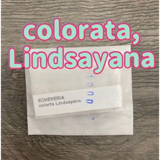 輸入種子＊colorata,Lindsayana＊20粒(その他)