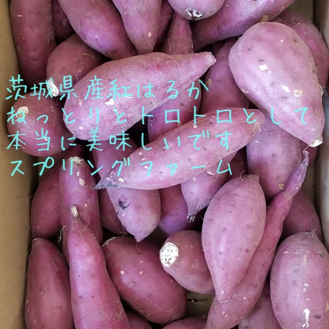 24㌔R5年産茨城県紅はるかS&2Sメイン少し訳あり品サツマイモ減農薬栽培 | フリマアプリ ラクマ