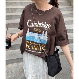 Discoat CamBridgeスーベニアビックTシャツ(Tシャツ(半袖/袖なし))