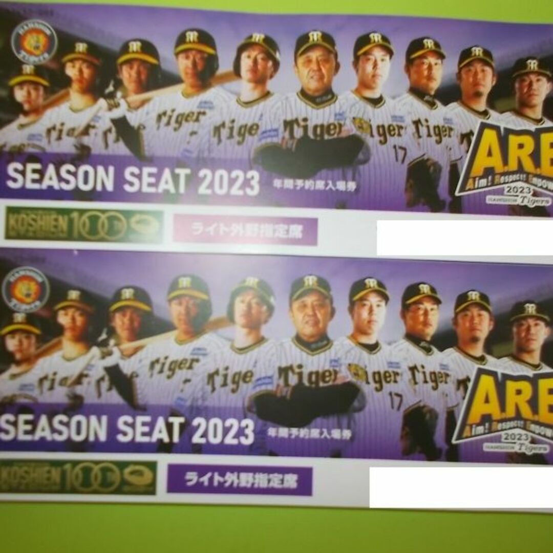 【プロ野球】9月4日(土)阪神 vs 讀賣 レフト外野指定席 ペアチケット