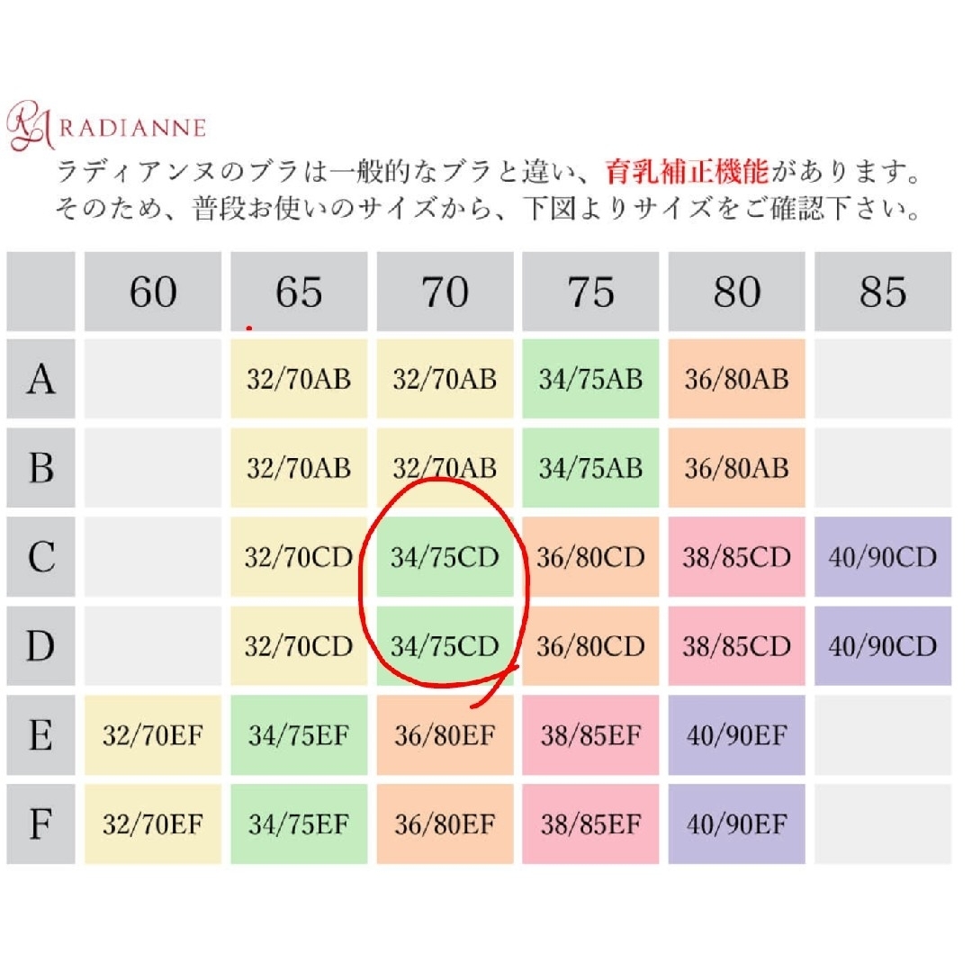 RADIANNE ブラ ブラック＆ネイビー2個セット レディースの下着/アンダーウェア(ブラ)の商品写真