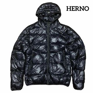 HERNO - 新品 21AW HERNO Laminar GORE-TEX ダウンジャケットの通販 by