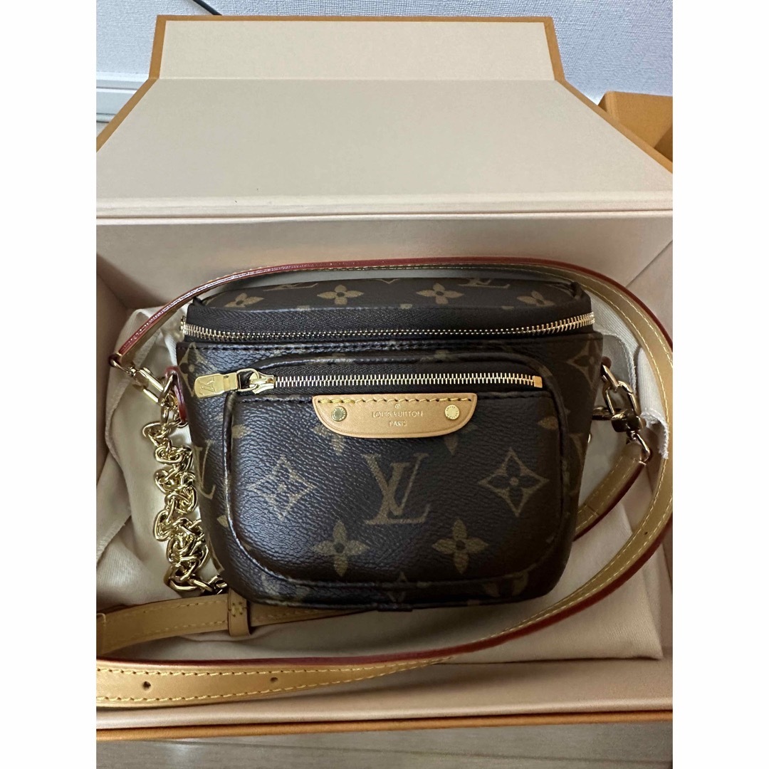 ルイヴィトン　バムバッグ　2way Louis Vuitton