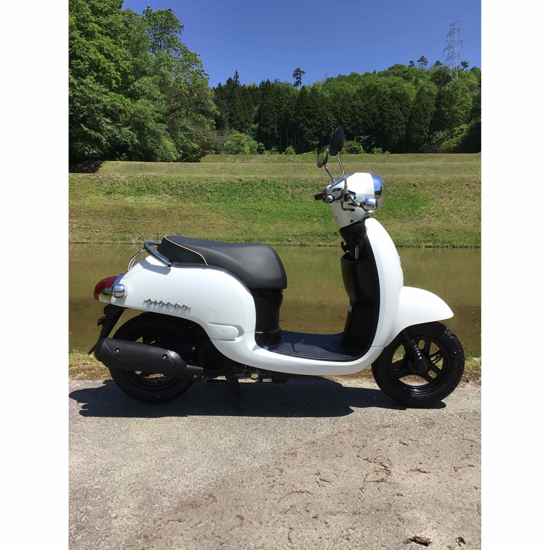 ホンダ ジョルノ HONDA 好調! インジェクション - 車体