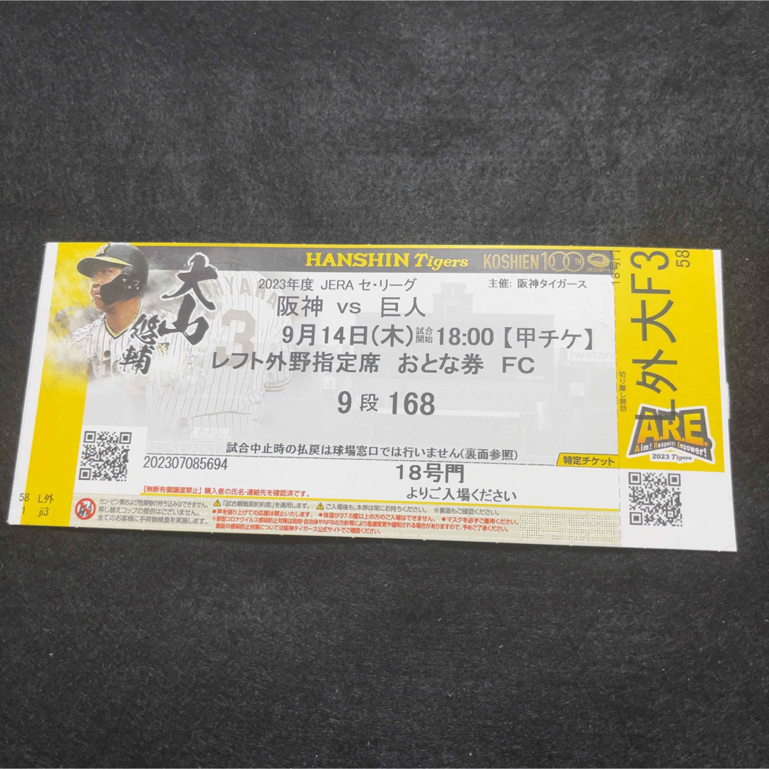 阪神タイガース - 【優勝チケット】阪神タイガース 優勝チケット 9月14 ...