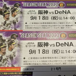 ハンシンタイガース(阪神タイガース)の2連番!!9/18(月)甲子園ライトスタンド阪神vsDeNA(応援グッズ)