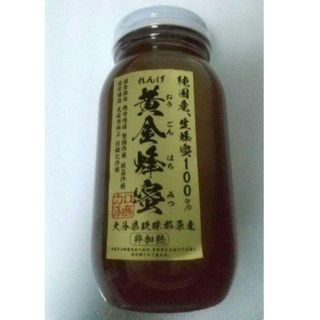 純国産 生蜂蜜100％ れんげ 黄金蜂蜜 大分県玖珠郡原産<非加熱>(調味料)