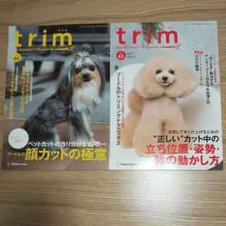 trim vol.63正しいカット中の立ち位置vol.66プードルの顔カット極意(住まい/暮らし/子育て)