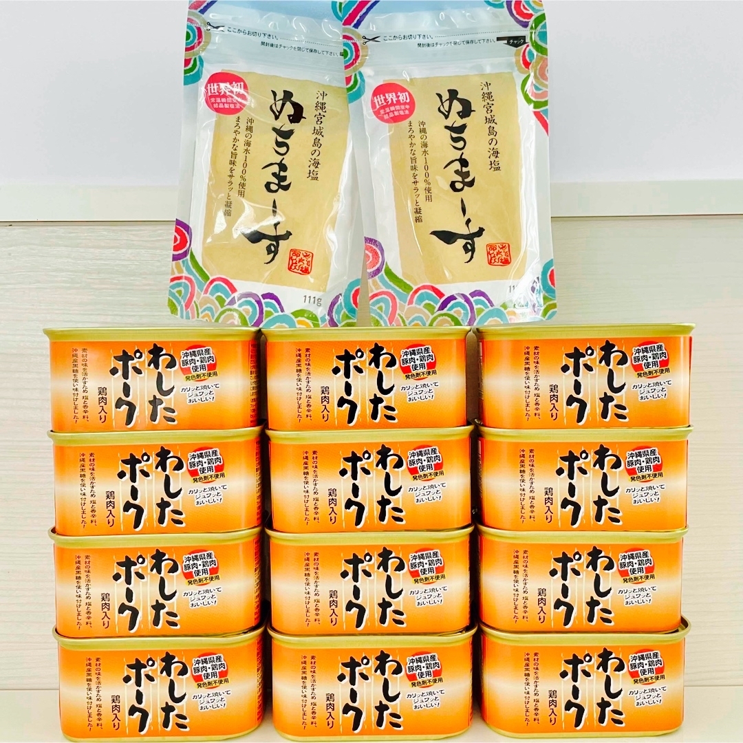 2袋　調味料　沖縄の塩　12缶　わしたポーク　ぬちまーす111g