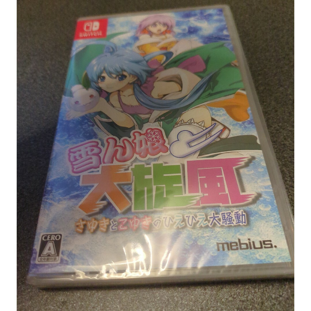 雪ん娘大旋風 ~さゆきとこゆきのひえひえ大騒動~/Switch/HACPBAV6 雪ん娘大旋風 ~さゆきとこゆきのひえひえ大騒動~/Switch/HACPBAV6