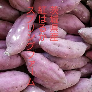 10㌔以上R5年産茨城県紅はるかS&2Sメイン少し訳あり品サツマイモ減農薬栽培(野菜)