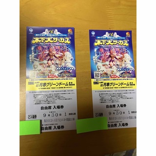 木の下大サーカス 札幌公演 9月30日1回目自由席 優先入場券2枚の通販