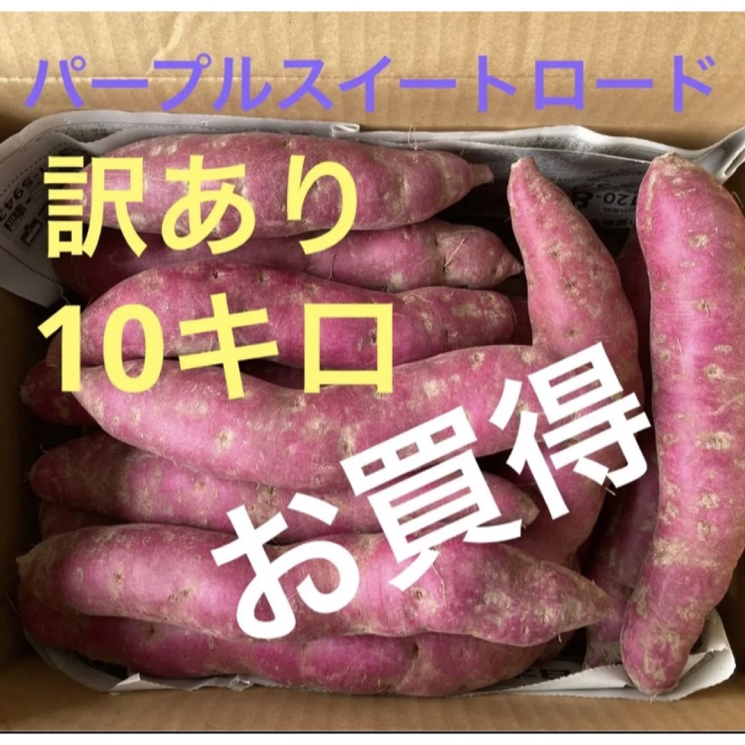 長野県産　パープルスイートロード　訳あり　10キロ 食品/飲料/酒の食品(野菜)の商品写真