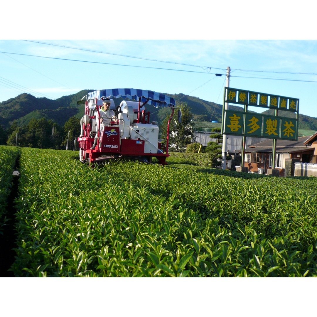 フォロワー様限定◎特上緑茶ティーパック5g10個入り 食品/飲料/酒の飲料(茶)の商品写真