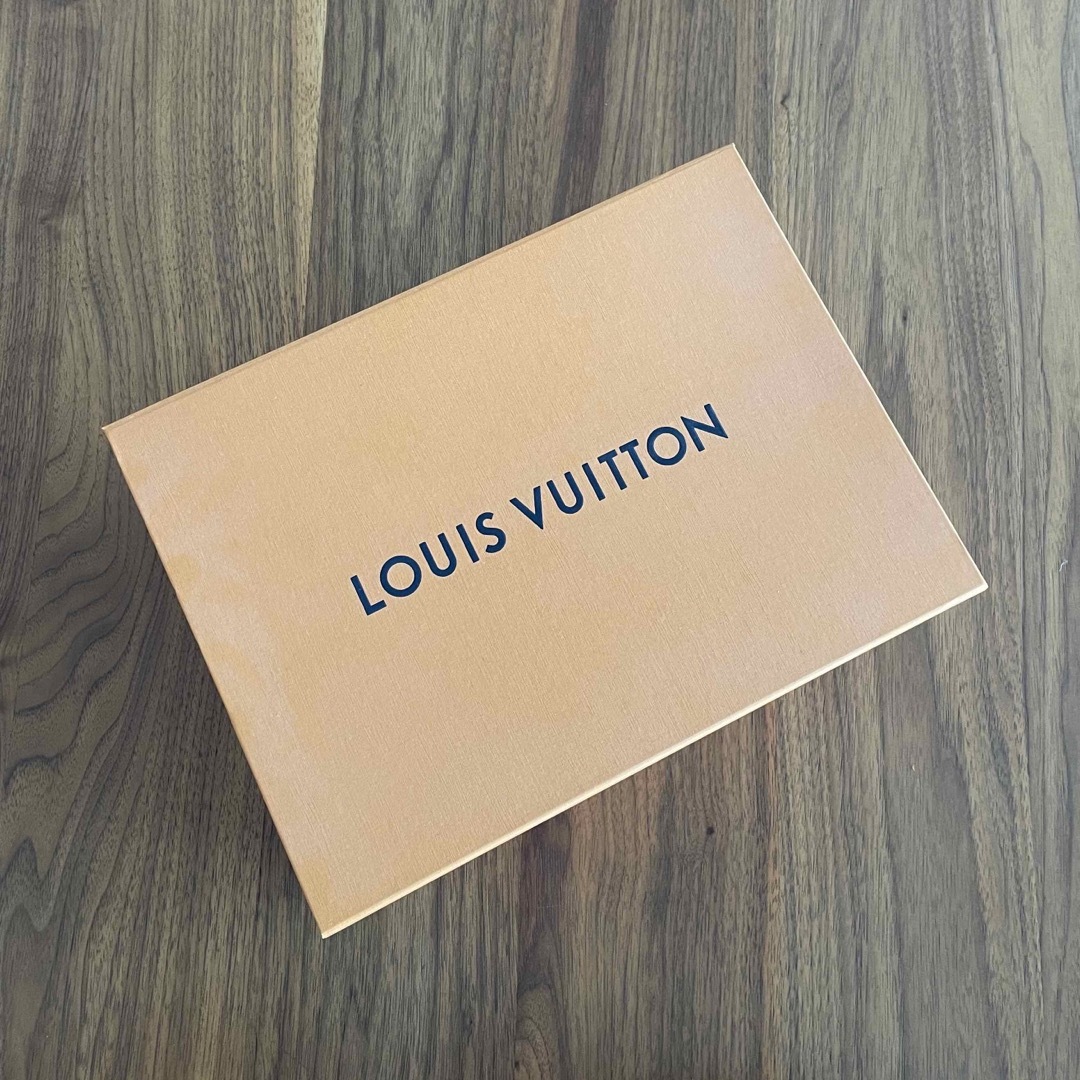 LOUIS VUITTON(ルイヴィトン)のルイヴィトン　シュプリーム　コラボ　シューズ メンズの靴/シューズ(スニーカー)の商品写真