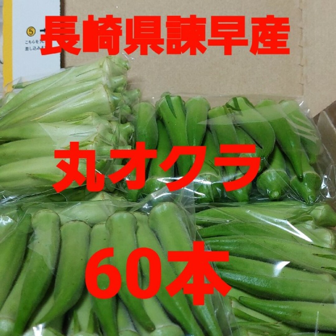 長崎県諫早産丸オクラ60本 食品/飲料/酒の食品(野菜)の商品写真