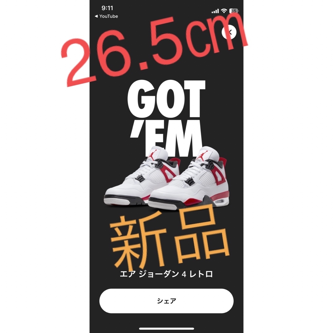 NIKE AIR JORDAN 4 RED CEMENT エアジョーダン4-