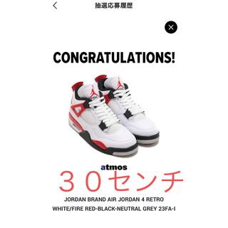 ナイキ(NIKE)のNike Air Jordan 4 Retro "Red Cement" 30(スニーカー)