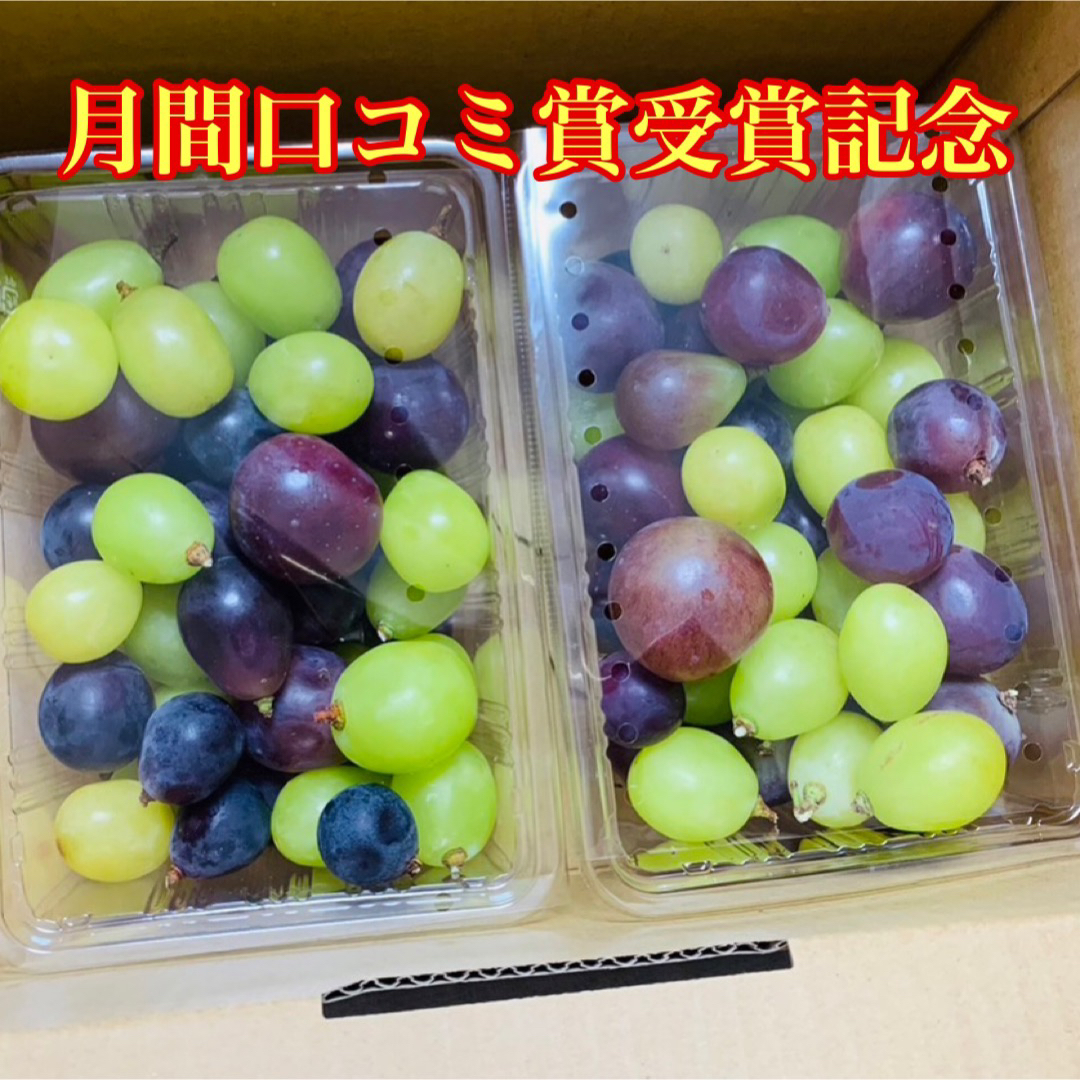 3種ぶどう食べ比べ500g×2パック 長野県産家庭用 食品/飲料/酒の食品(米/穀物)の商品写真