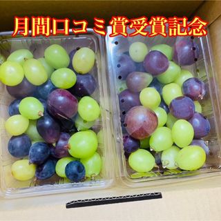 3種ぶどう食べ比べ500g×2パック 長野県産家庭用(米/穀物)