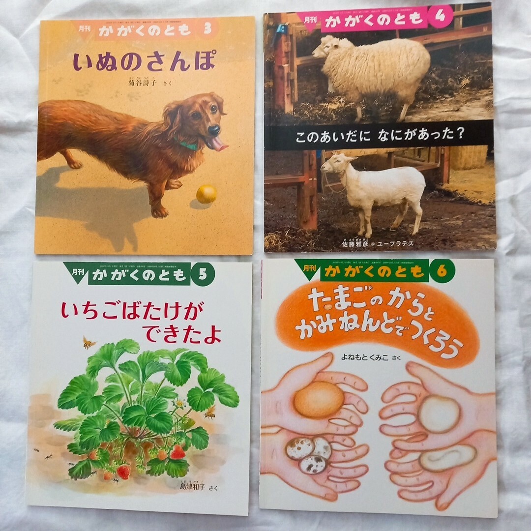 福音館書店(フクインカンショテン)のかがくのとも 12冊セット2009.11～2010.10 エンタメ/ホビーの本(絵本/児童書)の商品写真