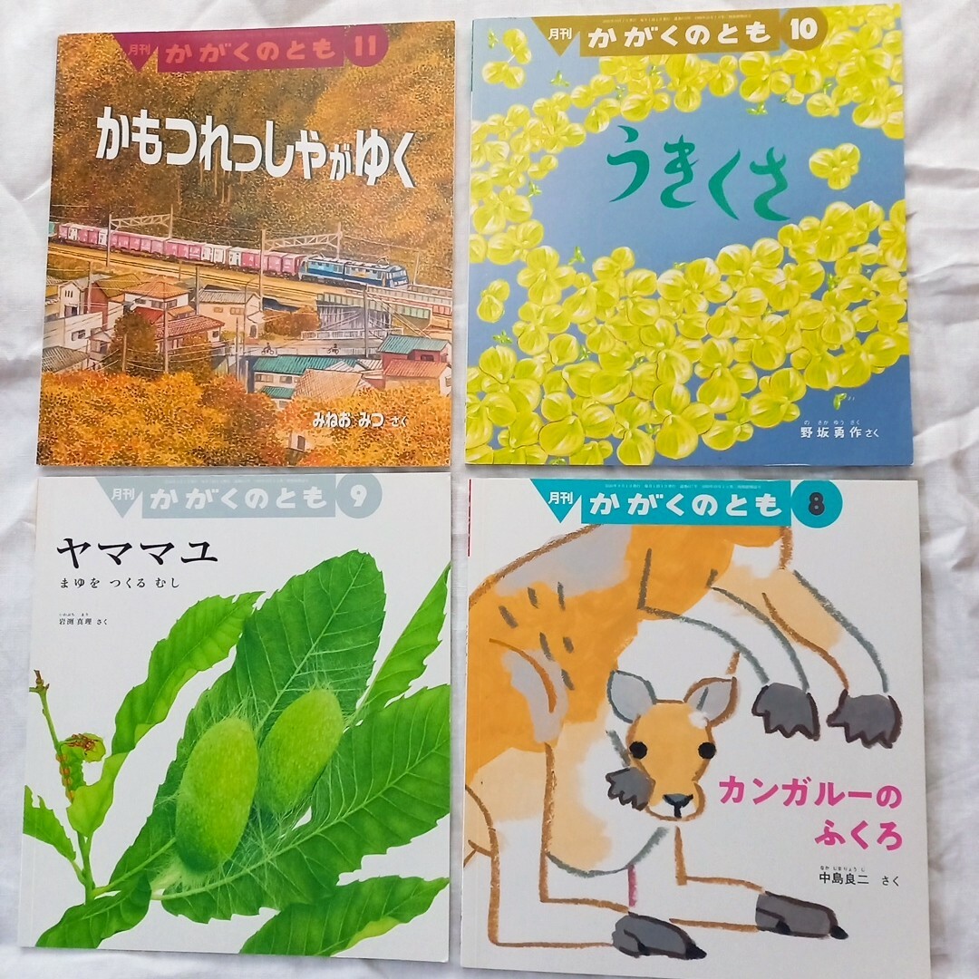 福音館書店(フクインカンショテン)のかがくのとも 12冊セット2020.8～2021.7 エンタメ/ホビーの本(絵本/児童書)の商品写真