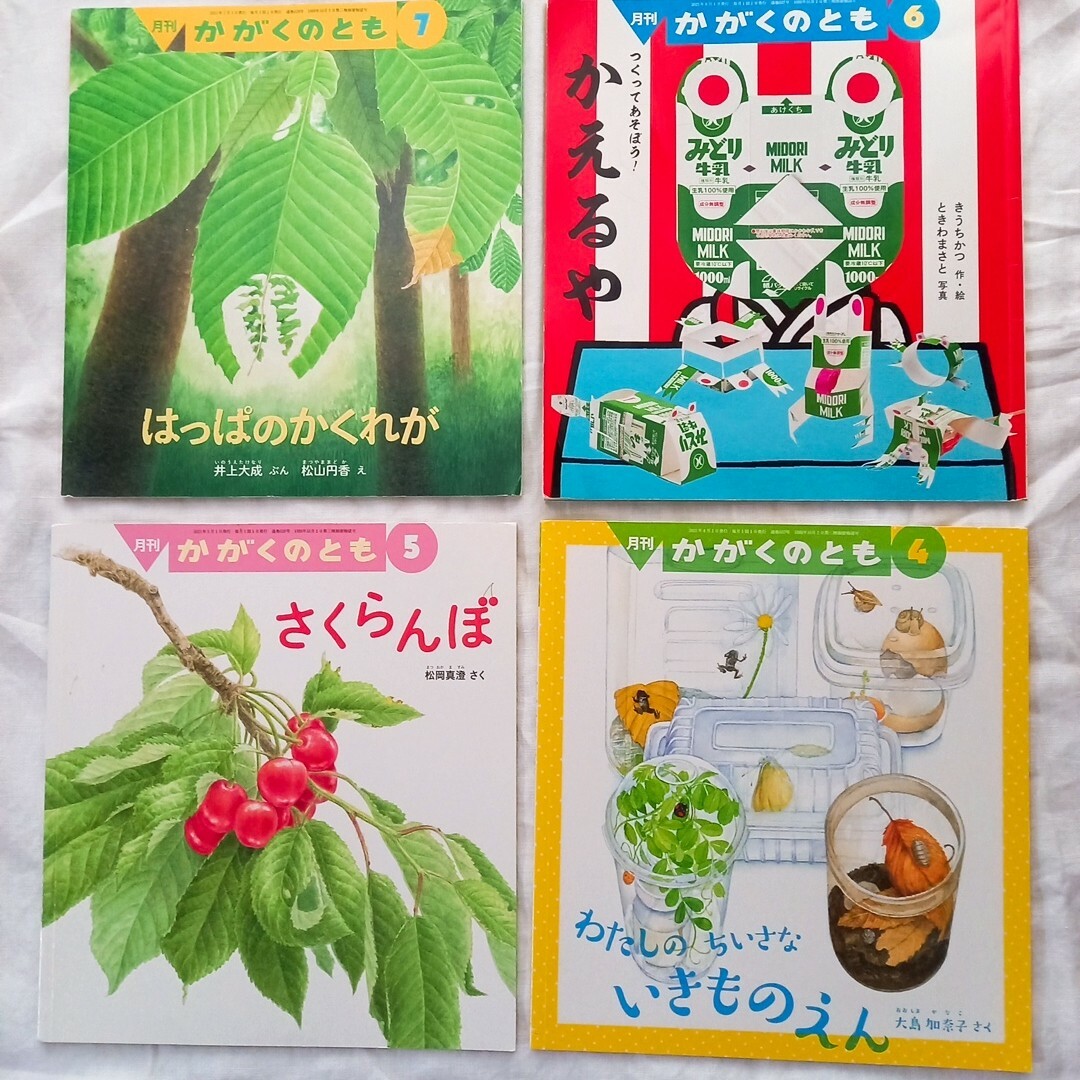 福音館書店(フクインカンショテン)のかがくのとも 12冊セット2020.8～2021.7 エンタメ/ホビーの本(絵本/児童書)の商品写真